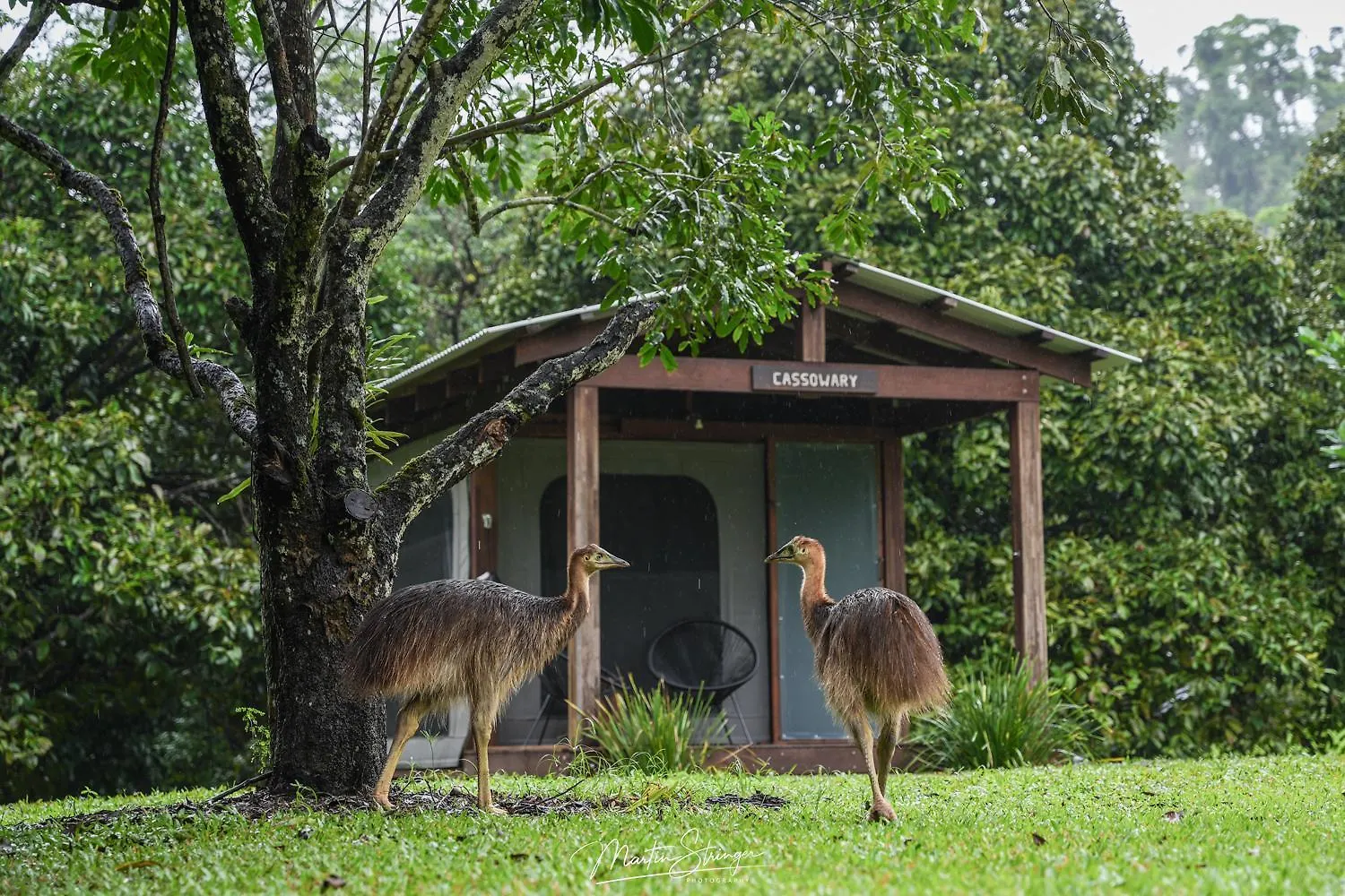 הוילה קייפ טריבוליישן Noah Creek Eco Huts