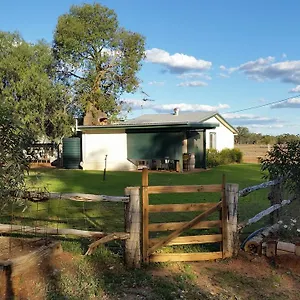 Bush Charleville