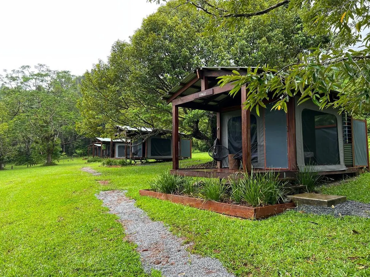 Villa Noah Creek Eco Huts Cape Tribulation Lodge
