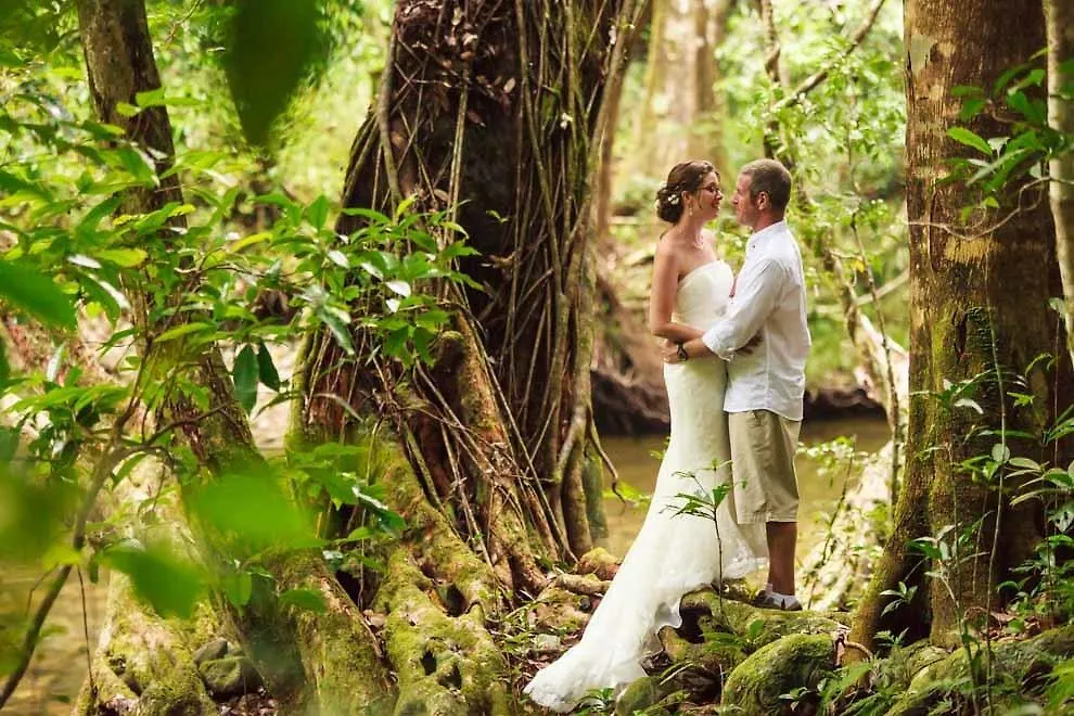 Villa Noah Creek Eco Huts Cape Tribulation Lodge