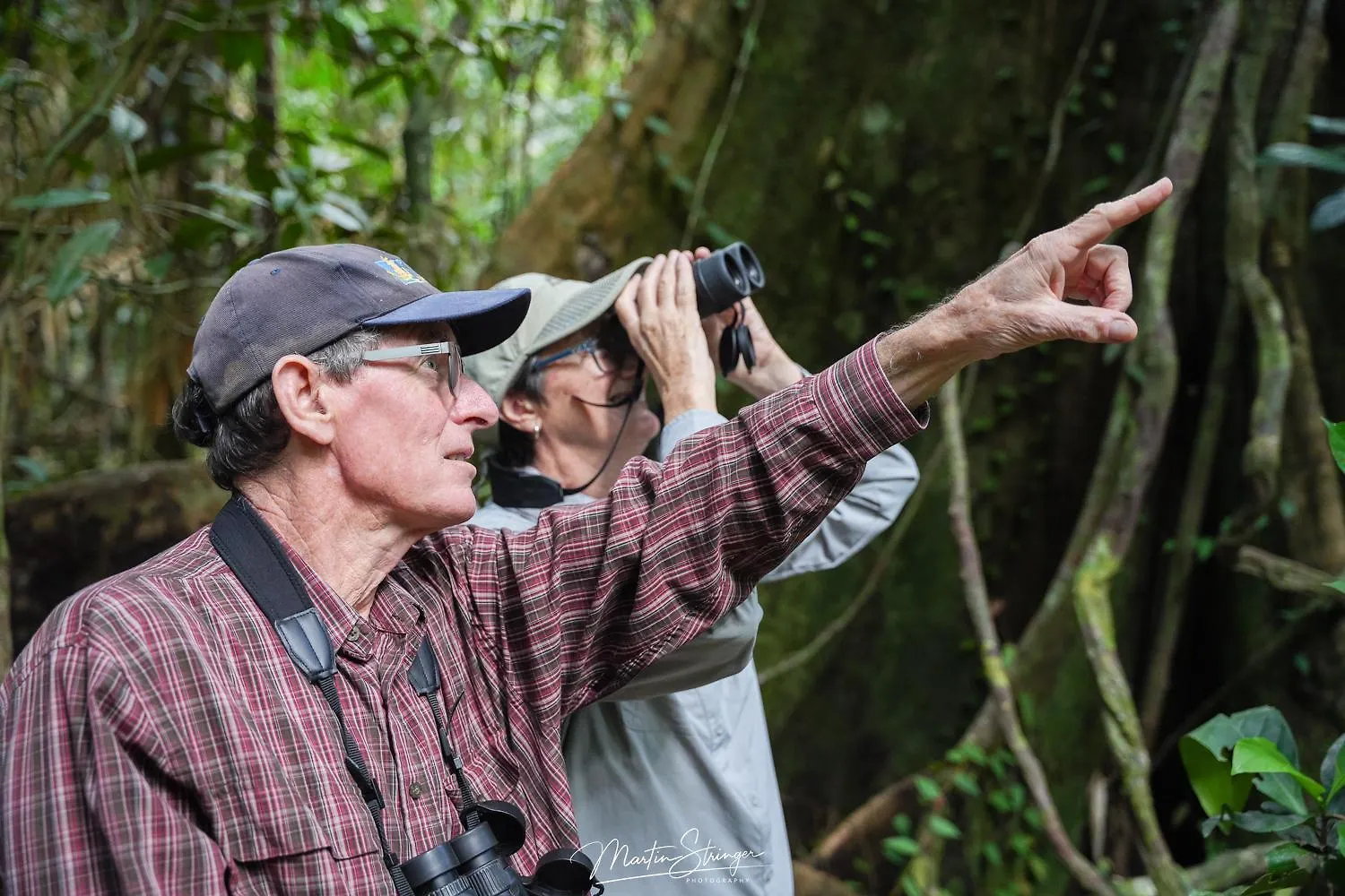 Lodge Villa Noah Creek Eco Huts Cape Tribulation