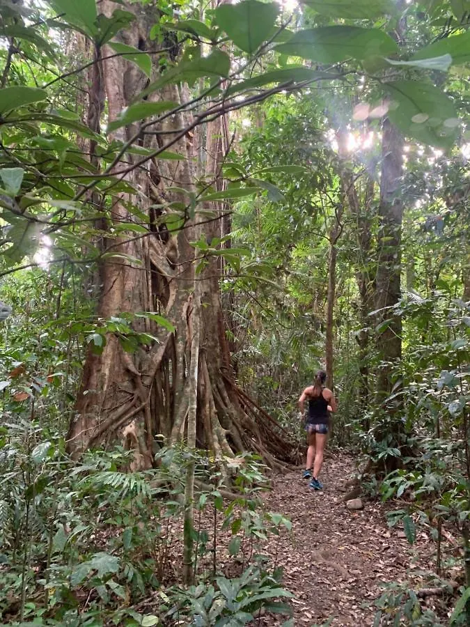 Villa Noah Creek Eco Huts Cape Tribulation Australia